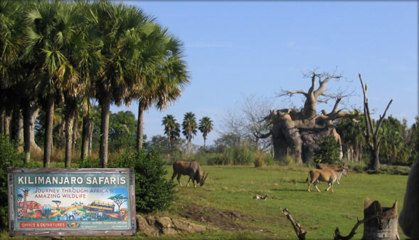 Kilimanjaro Safaris The Animal Kingdom