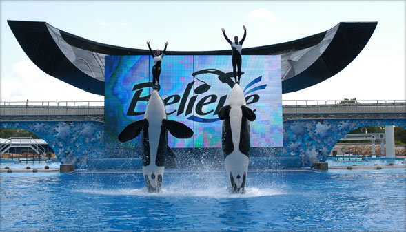 SeaWorld Ticket Discounts Florida