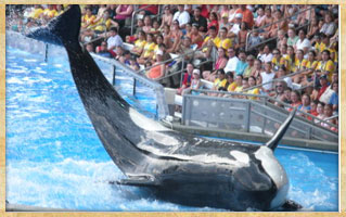 Sea World Tickets