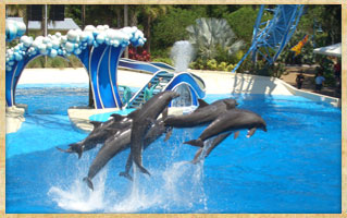 Sea World Tickets